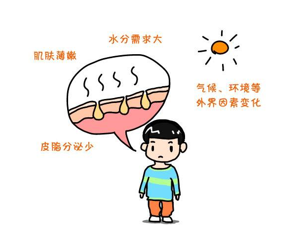 ֪ʶ